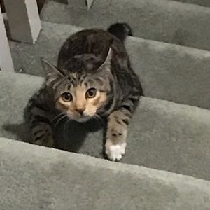 Meet your Posher, Eamonn